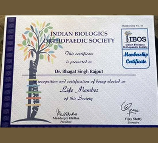 dr. bs rajput certificates