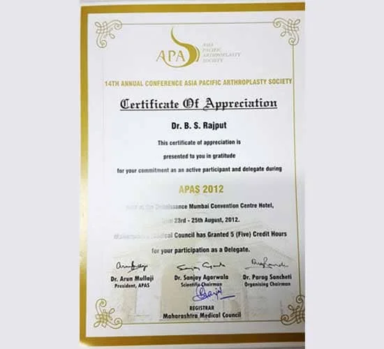dr. bs rajput certificates