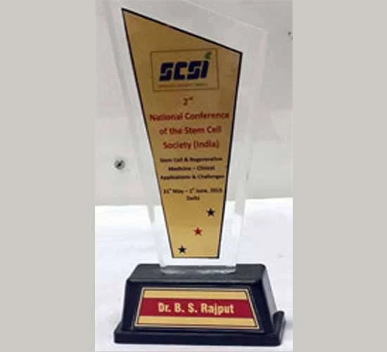 dr. bs rajput certificates